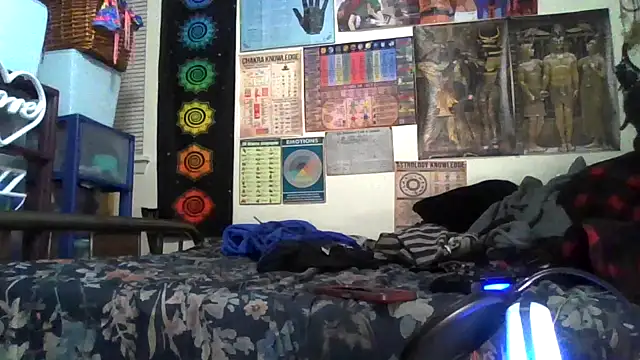 GardeniaFields online show from November 4, 2025, 8:18 am