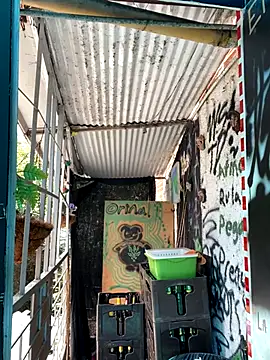 val zx online show from October 2, 2025, 4:21 pm