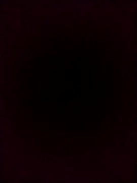 Snapshot of Francescodicristina44 chatting on February 3, 2026, 6:46 pm Francescodicristina44 online show from February 3, 2026, 6:46 pm