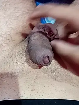 fitboy69 online show from December 16, 2025, 5:28 pm