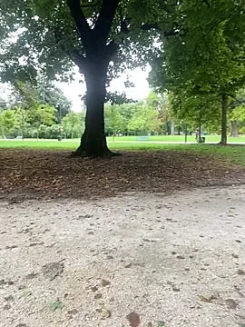 Rimmingtop online show from September 26, 2025, 8:10 am