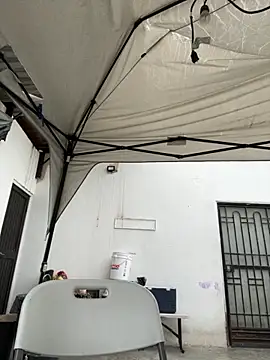 Cochiloco8405 online show from June 7, 2026, 1:27 pm
