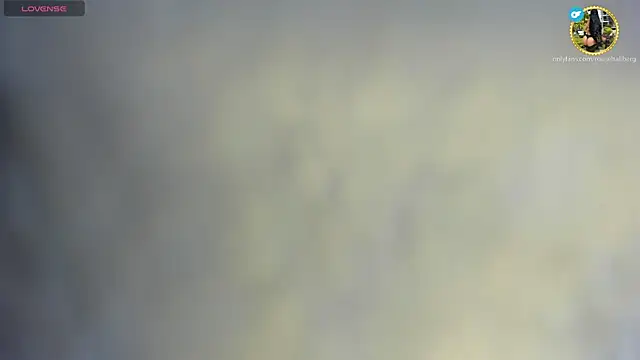 Snapshot of rouse__hallberg chatting on March 14, 2025, 8:17 pm rouse  hallberg online show from March 14, 2025, 8:17 pm