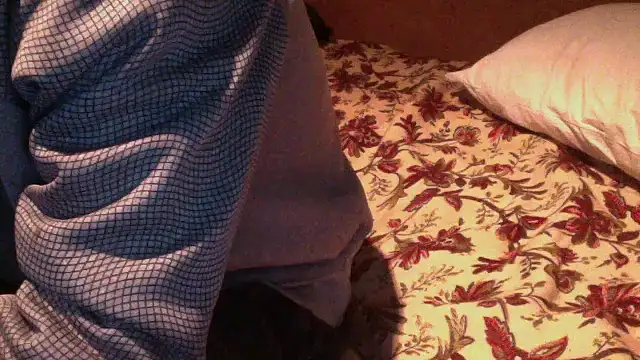 Snapshot of JoaoPinto0 chatting on October 30, 2025, 11:01 pm JoaoPinto0 online show from October 30, 2025, 11:01 pm