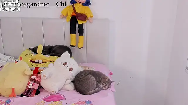 Snapshot of chloee_gardner chatting on October 22, 2025, 7:46 pm chloee gardner online show from October 22, 2025, 7:46 pm