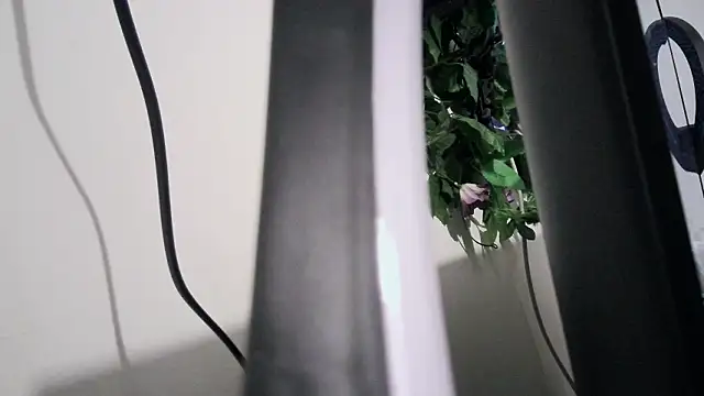 cherryboom23 online show from March 19, 2026, 7:25 pm