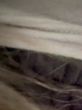 bambi lu online show from March 18, 2026, 6:20 pm