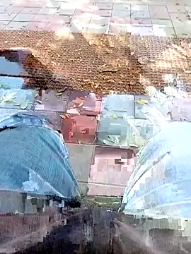 A-1PLAYBOY0 online show from March 6, 2026, 9:37 am