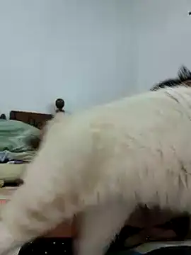 Saraslow online show from October 28, 2025, 2:05 pm