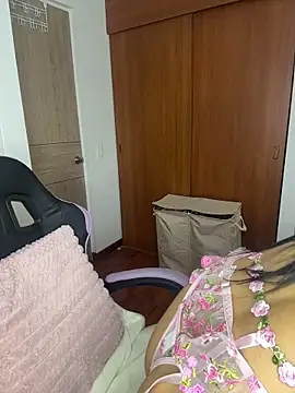 Snapshot of ArianaReynoldss chatting on February 24, 2026, 10:16 am ArianaReynoldss online show from February 24, 2026, 10:16 am