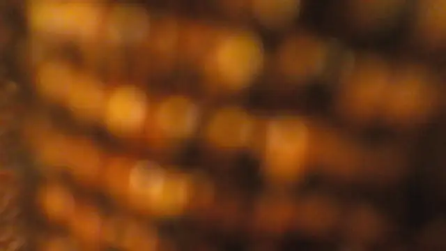 Snapshot of lucywilcox chatting on October 26, 2025, 1:55 pm lucywilcox online show from October 26, 2025, 1:55 pm