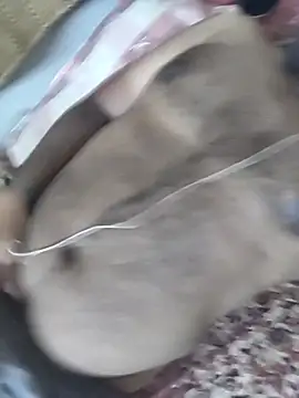 sharmanaam online show from March 28, 2026, 8:32 pm