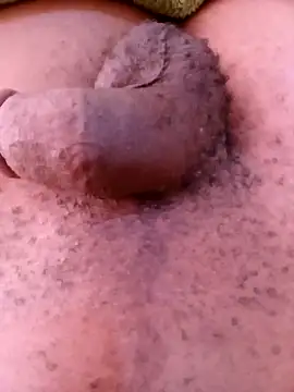 horny1131 online show from April 11, 2026, 7:45 am