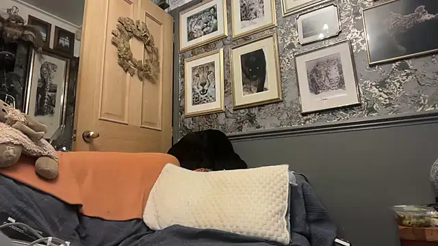 Snapshot of poggles chatting on February 21, 2026, 8:22 pm poggles online show from February 21, 2026, 8:22 pm