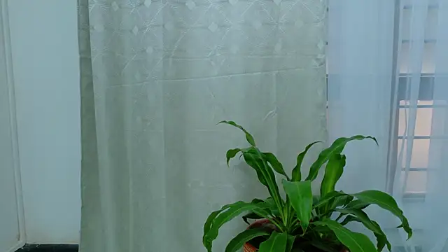 Snapshot of EbonyHorrny chatting on September 15, 2025, 12:16 pm EbonyHorrny online show from September 15, 2025, 12:16 pm