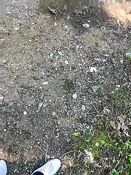 Snapshot of cihan_4141 chatting on October 20, 2025, 8:59 am cihan 4141 online show from October 20, 2025, 8:59 am