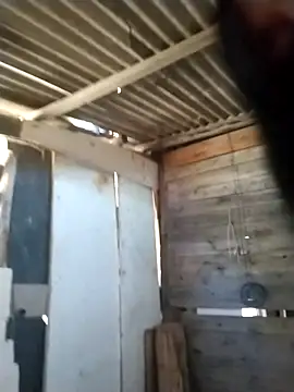 srtsara online show from April 18, 2026, 11:56 am