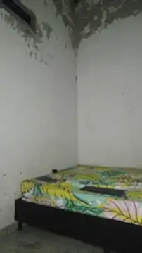 David tatto1 online show from April 2, 2026, 3:13 am