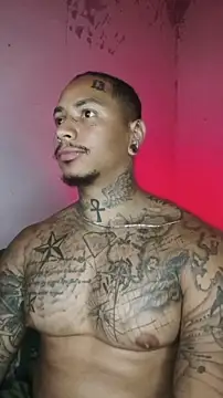 David tatto1 online show from February 12, 2026, 4:34 am