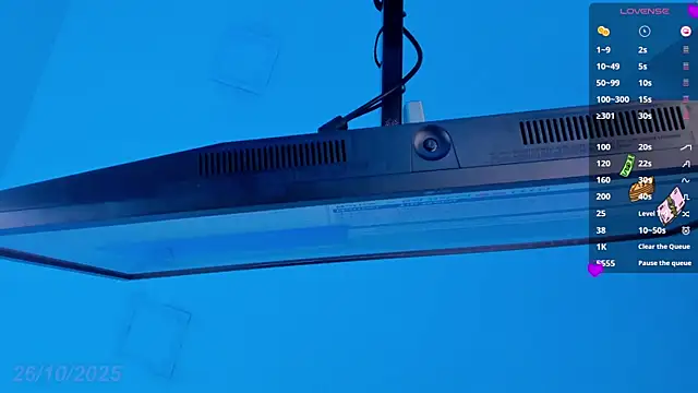 Snapshot of Sebax_Young chatting on October 26, 2025, 9:26 pm Sebax Young online show from October 26, 2025, 9:26 pm