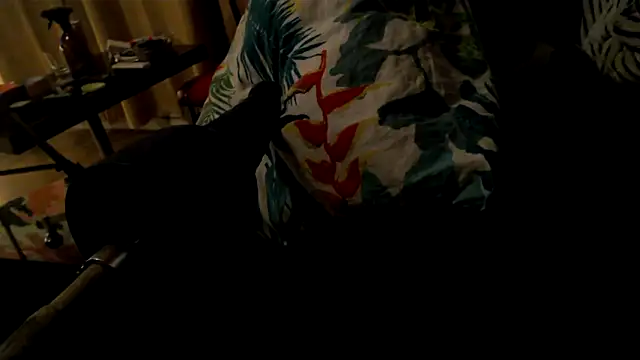 Snapshot of drieghe chatting on October 4, 2025, 10:33 pm drieghe online show from October 4, 2025, 10:33 pm