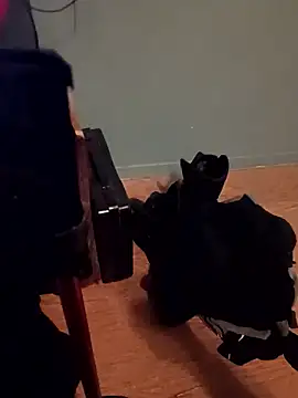 Snapshot of Crossedsissy chatting on January 7, 2026, 12:37 am Crossedsissy online show from January 7, 2026, 12:37 am