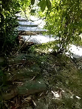 Snapshot of zack23088 chatting on October 4, 2025, 12:45 am zack23088 online show from October 4, 2025, 12:45 am