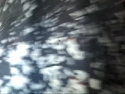 dabeibe online show from January 16, 2026, 8:57 pm