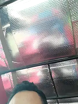 Snapshot of bgfgn chatting on November 1, 2025, 4:41 am bgfgn online show from November 1, 2025, 4:41 am