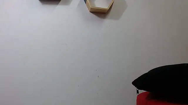 lola warner online show from October 20, 2025, 5:20 am