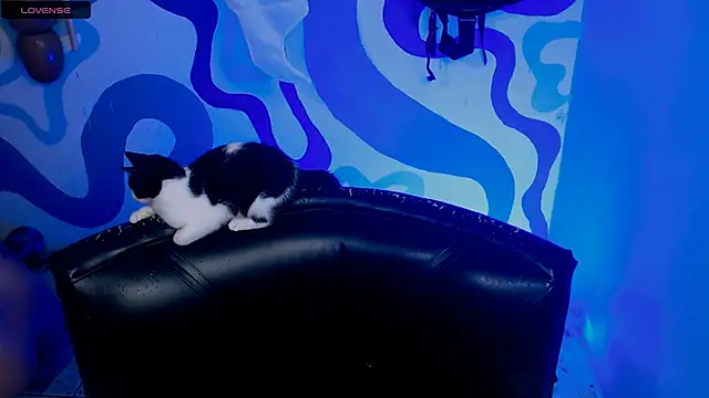 Snapshot of IrisSmil3 chatting on October 21, 2025, 2:38 pm IrisSmil3 online show from October 21, 2025, 2:38 pm