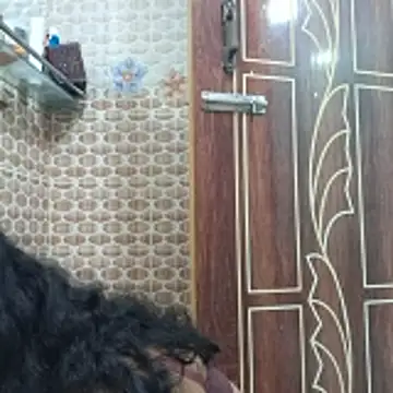 Bristy- online show from November 6, 2025, 11:25 am