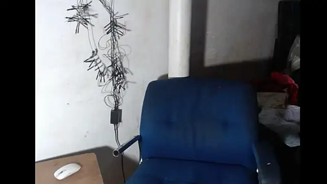 BebaFoxx online show from February 21, 2026, 6:37 am