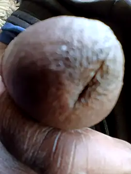 Bob black online show from April 18, 2026, 2:19 pm