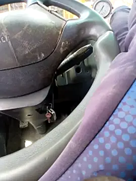 Bob black online show from April 13, 2026, 11:14 am