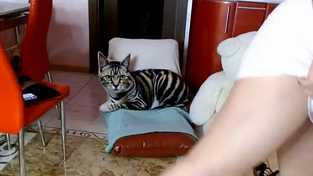 SquirtMilf00 online show from April 8, 2026, 3:19 am