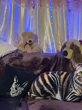 Snapshot of SquirtMilf00 chatting on February 6, 2025, 10:53 pm SquirtMilf00 online show from February 6, 2025, 10:53 pm