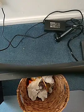 MyDick4You666 online show from March 5, 2026, 10:45 am