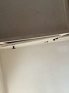 Snapshot of curis4270panda chatting on February 15, 2026, 7:57 pm curis4270panda online show from February 15, 2026, 7:57 pm