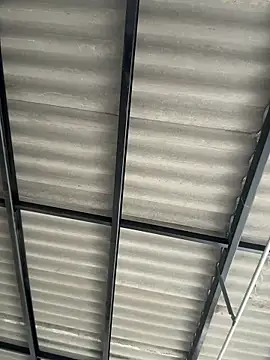 Elian savoy online show from December 4, 2025, 8:08 pm