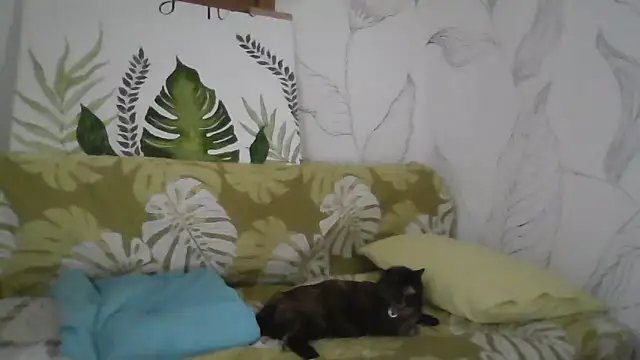 Snapshot of Catty_Lady chatting on September 27, 2025, 6:36 pm Catty Lady online show from September 27, 2025, 6:36 pm