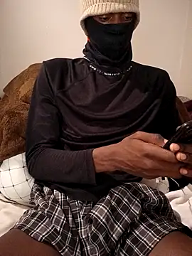 Venda-boi online show from September 28, 2025, 11:55 pm