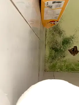 Bin77 online show from December 17, 2025, 2:16 am