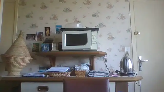 gegevincent online show from April 4, 2026, 1:17 pm