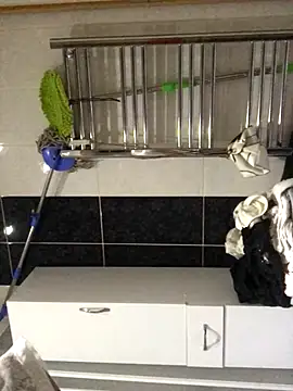 Snapshot of AlevNaz chatting on September 29, 2025, 1:23 am AlevNaz online show from September 29, 2025, 1:23 am