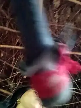 Suhani sharma1 online show from September 29, 2025, 5:03 am