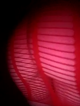 Hottiesophie online show from March 24, 2026, 12:54 am