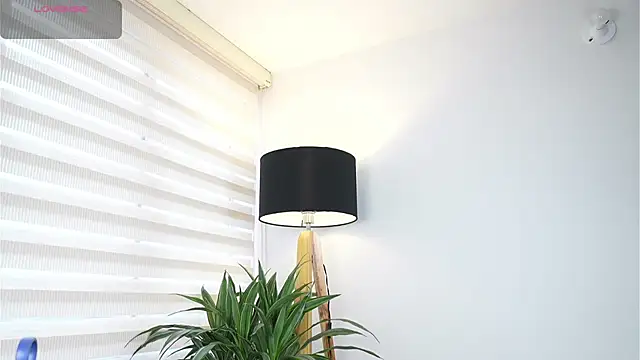 Snapshot of DeusbelliS chatting on October 14, 2025, 8:31 pm DeusbelliS online show from October 14, 2025, 8:31 pm