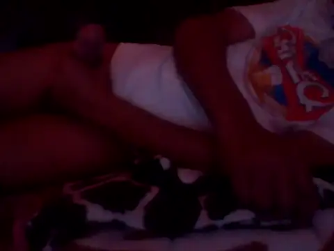 PREDADOR76 online show from September 24, 2025, 9:38 am