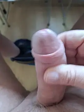 minnetird online show from February 18, 2026, 2:57 pm